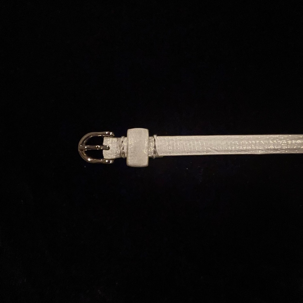 American Eagle Sparkly Champagne & Gold Skinny Belt